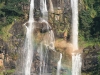 udzungwa