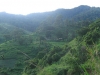 uluguru