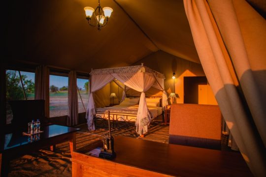 Serengeti River Camp 2 (Medium)