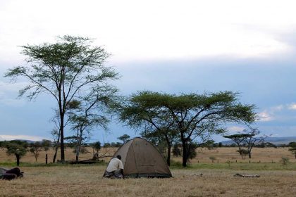 camping 1 (2)