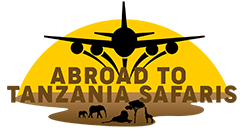 Abroad to Tanzania Safaris