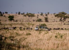 Abroad to Tanzania Safaris (10) (Medium)