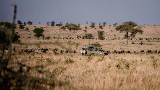 Abroad to Tanzania Safaris (10) (Medium)