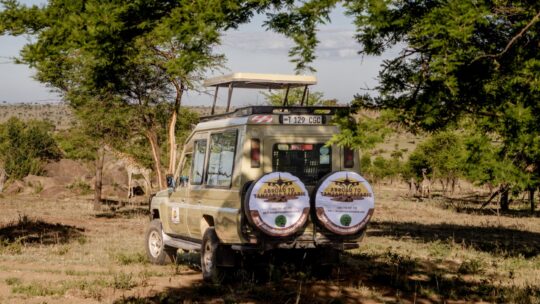 Abroad to Tanzania Safaris (4) (Medium)