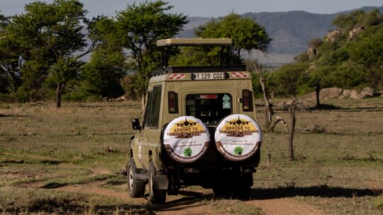 Abroad to Tanzania Safaris (43) (Medium)