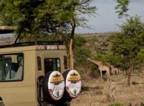 Abroad to Tanzania Safaris (46) (Medium)