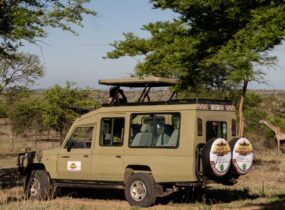 Abroad to Tanzania Safaris (47) (Medium)