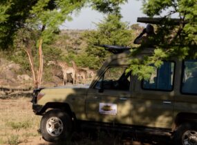 Abroad to Tanzania Safaris (49) (Medium)