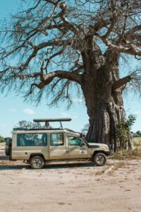 abroad-to-tanzania-1 (11)