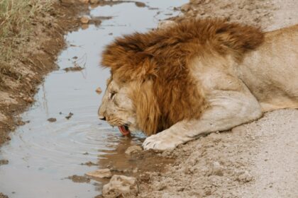 abroad-to-tanzania-1 (19)
